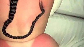 Porn Video Handimay dog gets her ass pounded by BBC