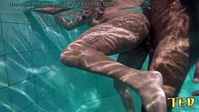 Sexy couple is making amateur anal and ass fucking in this pool