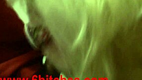 amateur sex video Assjob sucking