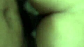 Honeymooners learn about anal sex and Rover’s position