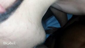 Black cock gets a nighttime blowjob