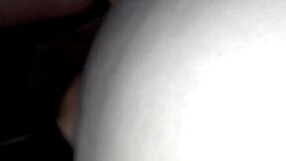 Crossdressing clients and transsexual escort sensual anal play