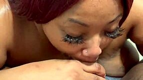 Miss Exquisite gives the biggest black dick in her neighbohood a blow job