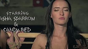Kinky Bondage Game for Two Slaves