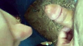 Oral pleasure in forest park setting given by gay man