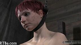 Both forms of sadomasochism and female domination