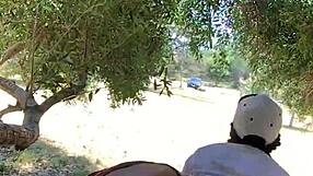 SM Score of Carmela clutch and California hunk in nature