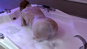 Older women and amateurs alike love anal sex and anal cumming inside them