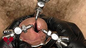 Gentle angle close up of pre stretching with a 3 way urethral dilator in a group environment