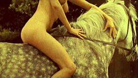 Big ass gets a show in this masturbation video