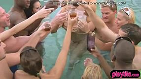 when a reality show turns into a wild swinger club party with dancing couples