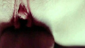 Passionate sex with well endowed lover sees school teacher pregnant