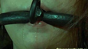 Beautiful woman gets her anal and vulva stimulated with sex toys