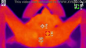 Angel caught having sex at night using night vision cameras