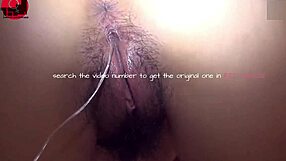 Young and wild Asian amateurs in hardcore scenes