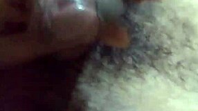 Young and old couples try out cuckold fantasies with a hot stud.