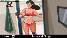 Adult animated series with ninja action and erotic elements