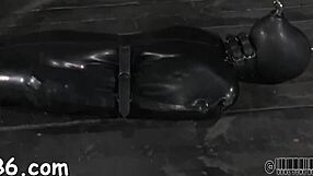 XV-93697C20D844765B42E92391877EB377 - Hardcore Free Porn
