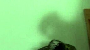 Big black dick in amateur sex video in Hollywood