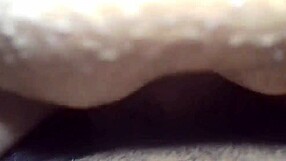 Public ass fuck with a beautiful brunette in an open field