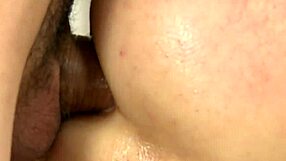 Free gay porn videos for men interested in gay sex