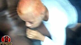 Sexgodpicasso enjoys a mobile blowjob from the beautiful Bisexual starlet, Rosy Honey
