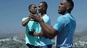 Aaron Reese and his boyfriend teach me how to pleasure a gay man