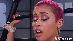Pink-haired black beauty plays with a dildo on her pussy lips