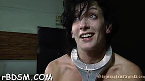 Couple’s BDSM adventures with oral and doggy style sex