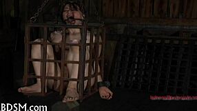 A beautiful woman with a perfect body is flogged and fucked
