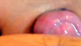 Cum in pussy compilation with hot amateurs and big cocks