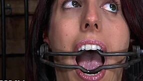 Young beauty gets a hard cock in her mouth and vagina