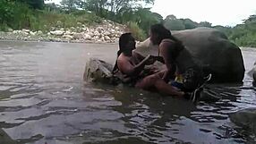 Outdoor lesbian action with friends adds extra pleasure