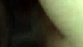 An Indian couple engaged in gentle sex with a hard penis