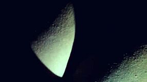 Thick Mixed Latina Craves Hard Backshots