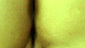 Tent temptations unfold in a naughty morning with big booty Latina.