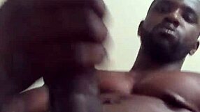 Double the pleasure, double the fun: BBC stroking video